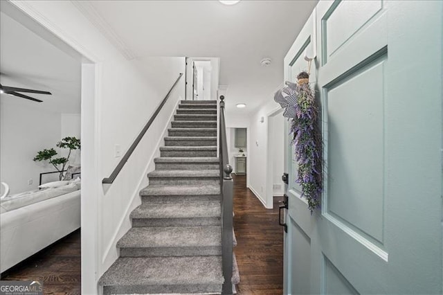 stairway with hardwood / wood-style flooring, ceiling fan, and ornamental molding