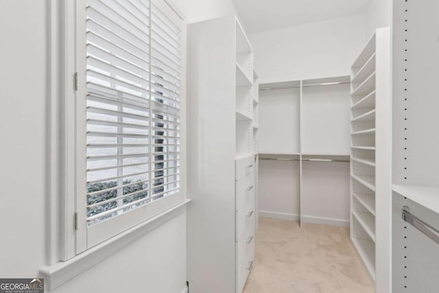 spacious closet with light carpet