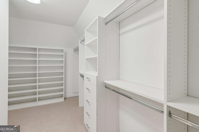 spacious closet with light colored carpet