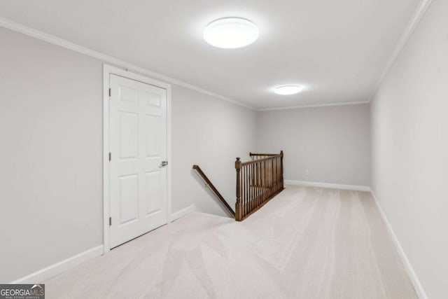 interior space featuring crown molding and carpet floors