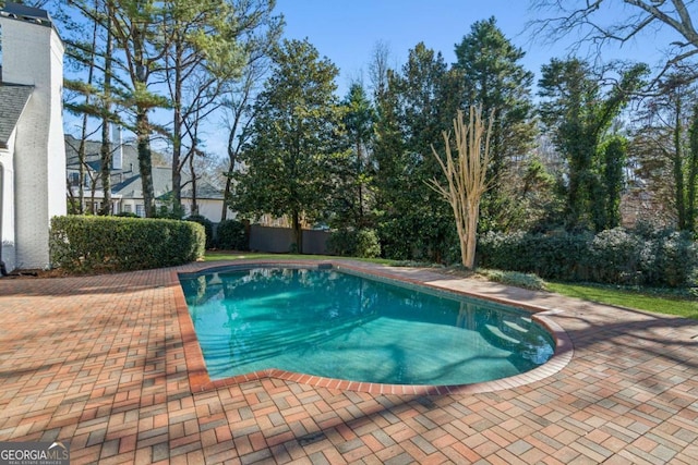 view of pool featuring a patio