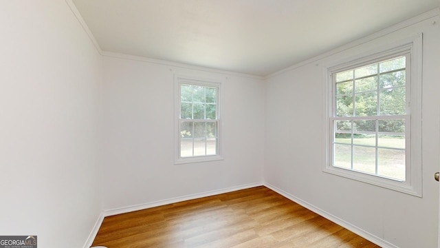 spare room with a wealth of natural light, light hardwood / wood-style flooring, and crown molding