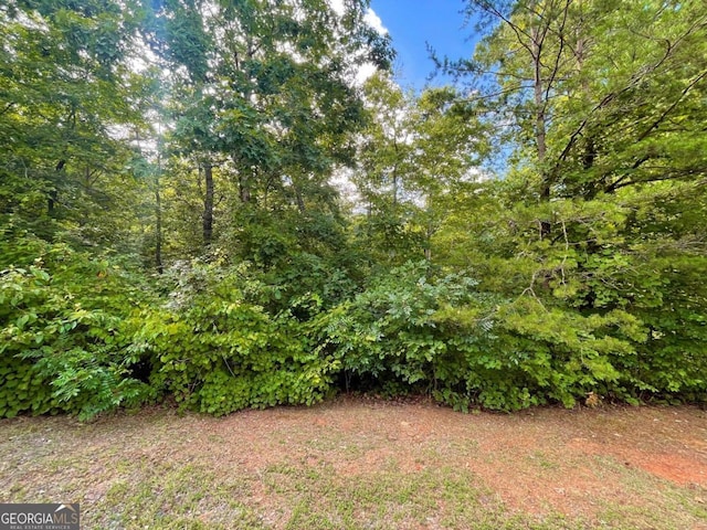 LOT118 Beech Tree Dr, Ellijay GA, 30540 land for sale