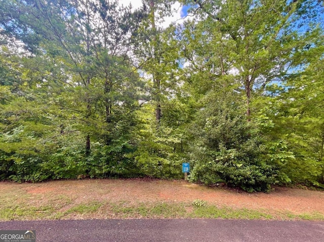 Listing photo 3 for LOT118 Beech Tree Dr, Ellijay GA 30540