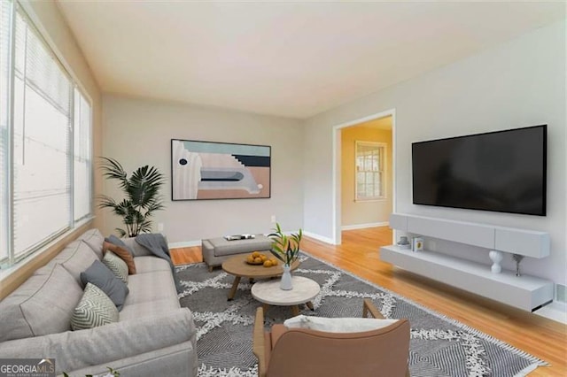 living room featuring wood-type flooring