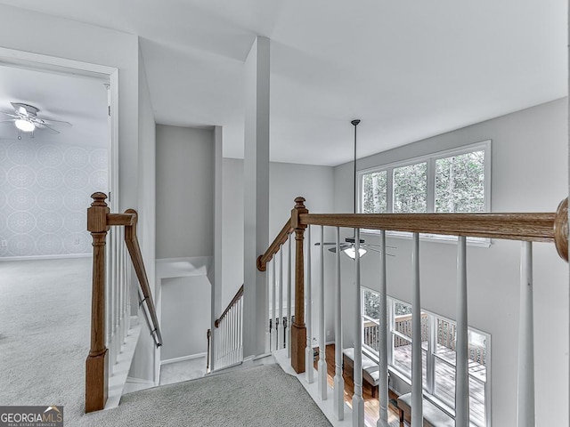 stairway with carpet flooring and ceiling fan