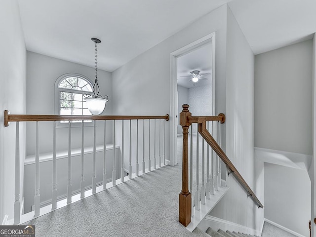 hallway featuring carpet floors