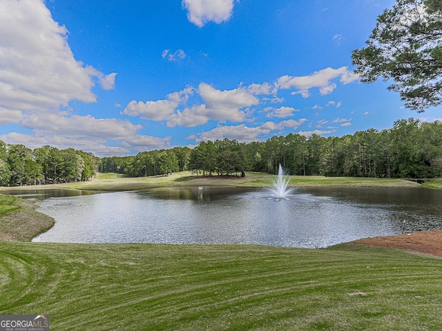 property view of water