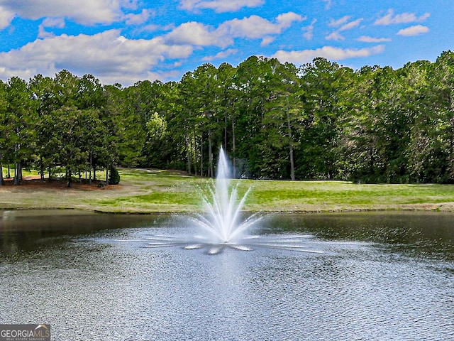 property view of water