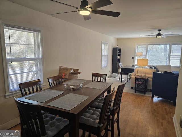 dining area featuring hardwood / wood-style flooring and ceiling fan