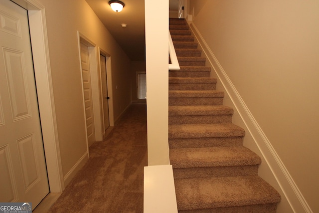 staircase with carpet flooring