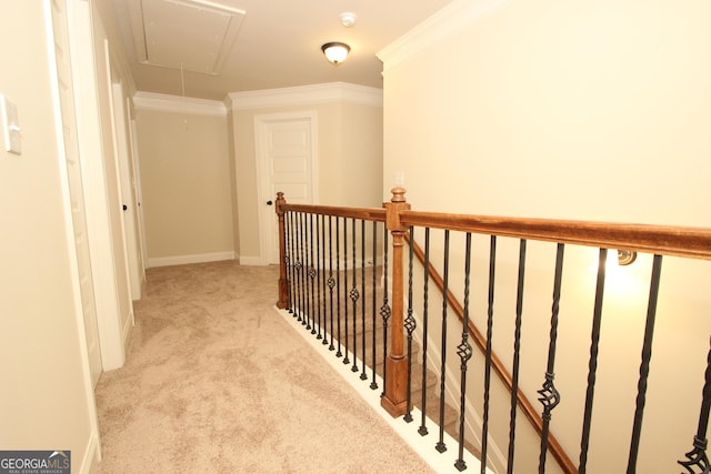 corridor featuring light carpet and ornamental molding