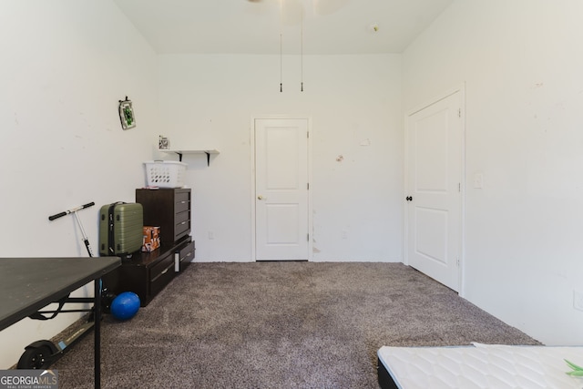 misc room with carpet flooring