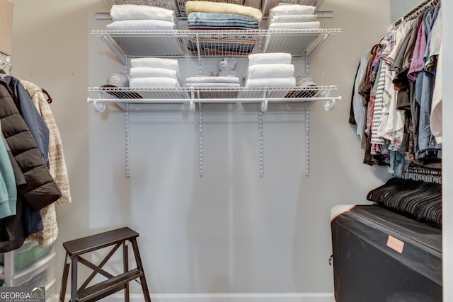 view of spacious closet