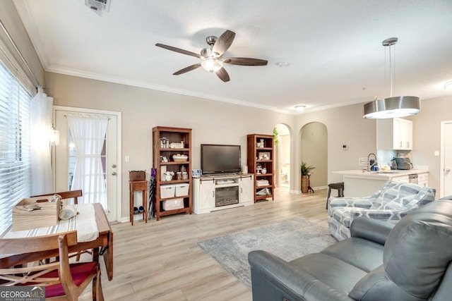 living room with ceiling fan, crown molding, sink, and light wood-type flooring