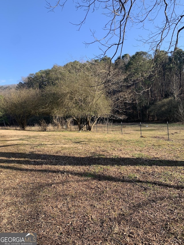 view of yard with a rural view