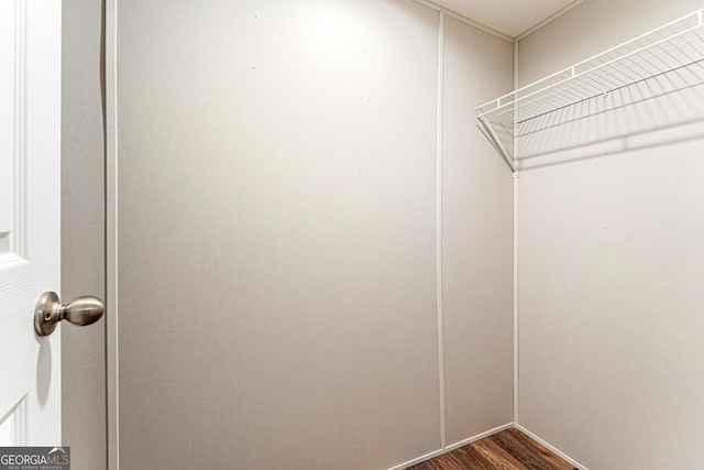 walk in closet with dark wood-type flooring