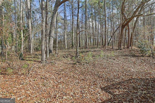 view of landscape