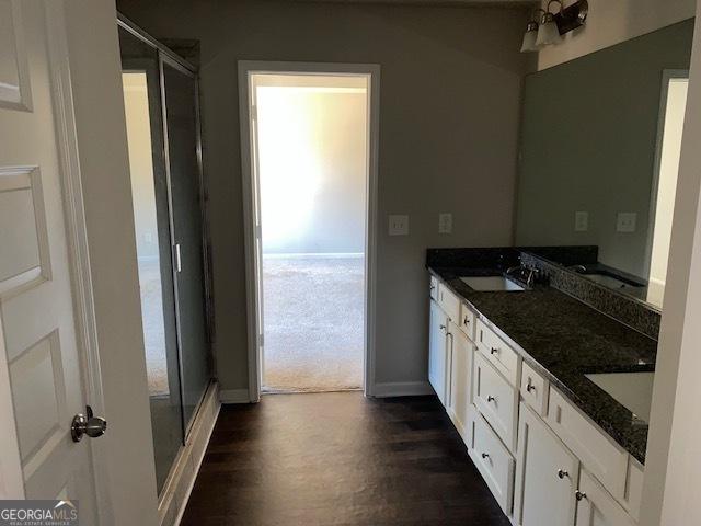 bathroom featuring vanity, a shower with door, and a wealth of natural light