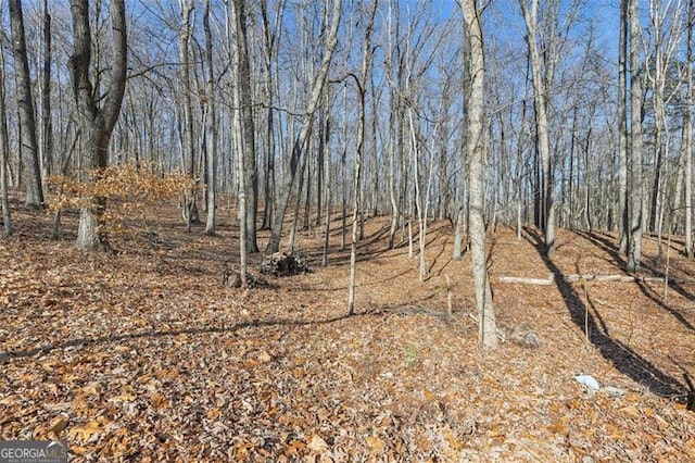 301 Benson Rd, Dallas, GA 30132 - view of yard