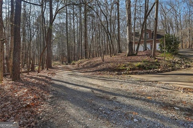 301 Benson Rd, Dallas, GA 30132 - view of street