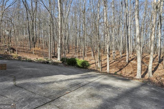 301 Benson Rd, Dallas, GA 30132 - view of yard