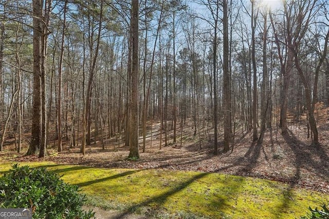 301 Benson Rd, Dallas, GA 30132 - view of local wilderness
