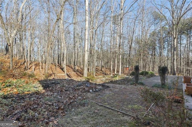301 Benson Rd, Dallas, GA 30132 - view of landscape