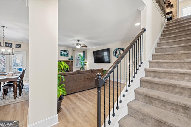 staircase with hardwood / wood-style flooring, ceiling fan with notable chandelier, and ornamental molding