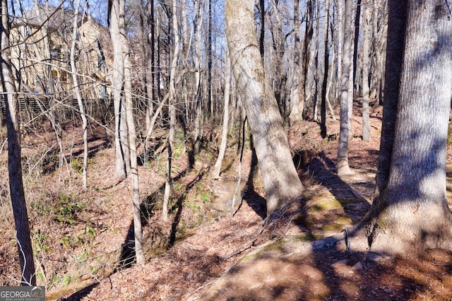 view of local wilderness