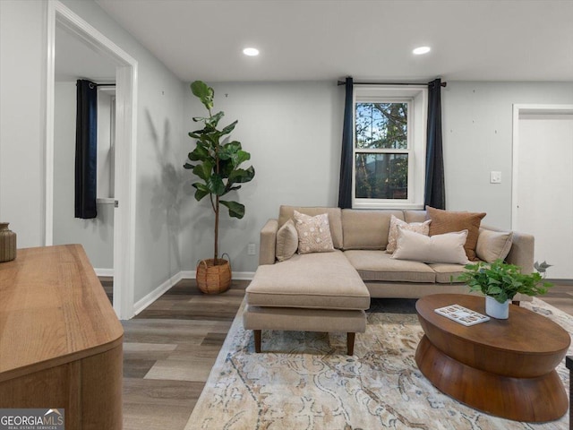 living room featuring hardwood / wood-style flooring