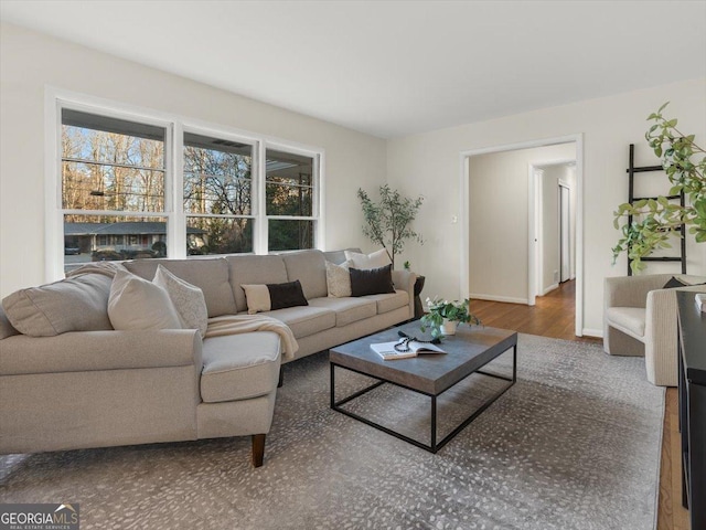 living room with hardwood / wood-style flooring