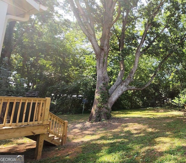 view of yard featuring a wooden deck