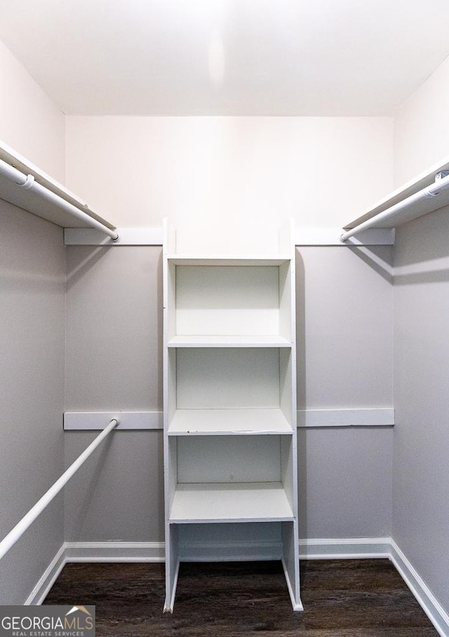 spacious closet featuring dark hardwood / wood-style floors