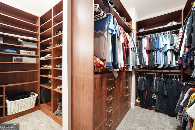 spacious closet featuring carpet floors