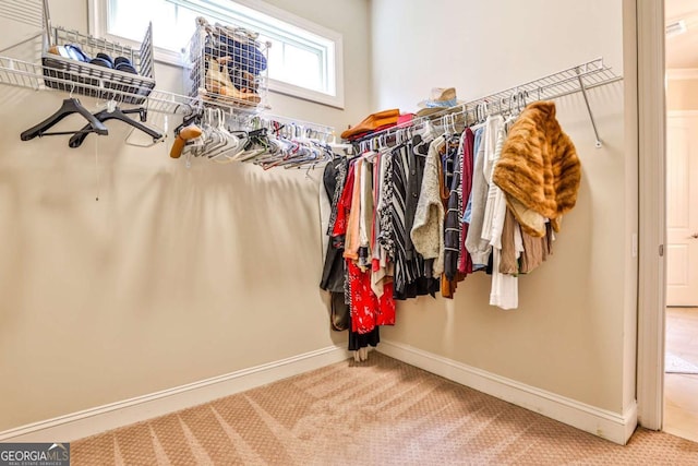 walk in closet featuring carpet