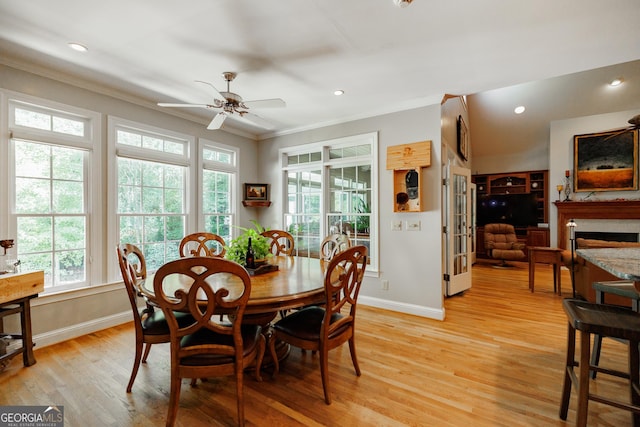 dining area with light hardwood / wood-style floors, ceiling fan, and crown molding