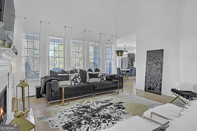 living room with light wood-type flooring