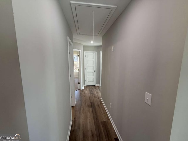 corridor featuring dark hardwood / wood-style floors