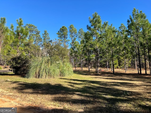 view of local wilderness