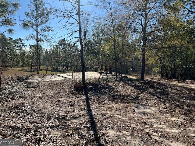 view of local wilderness