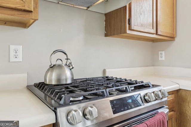 details with stainless steel range with gas cooktop