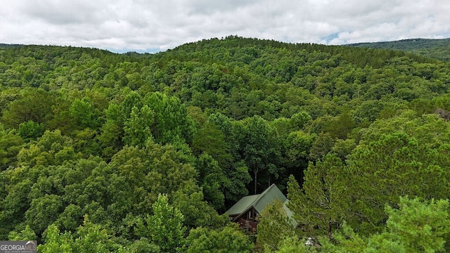 view of mountain feature