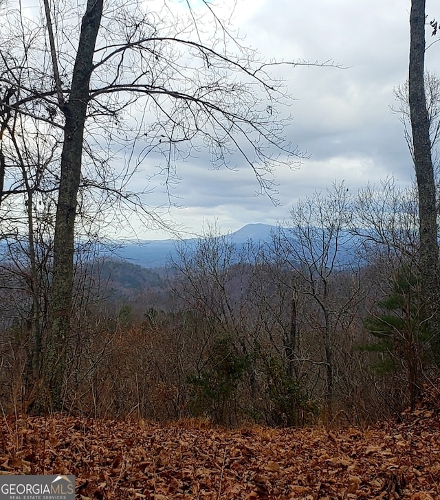 689 Railey Rdg, Ranger, GA 30734