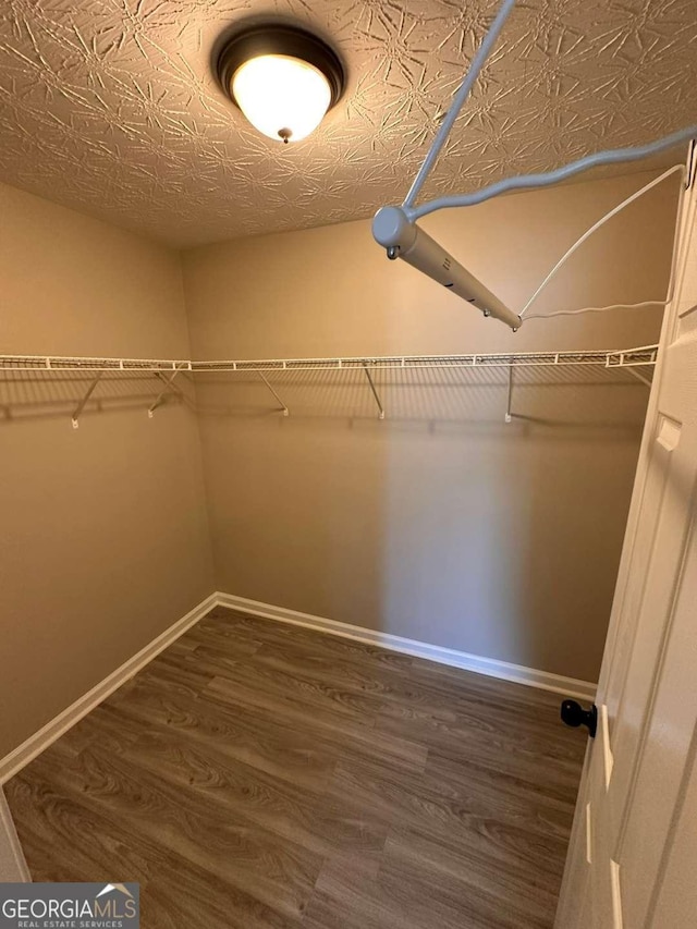 spacious closet with dark wood-type flooring