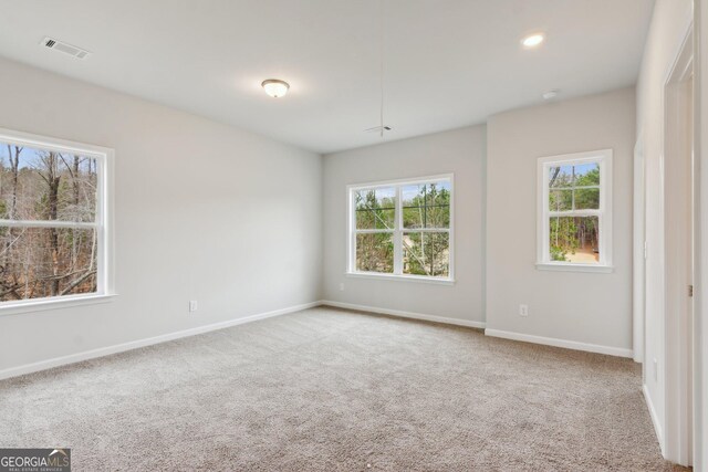 empty room featuring a healthy amount of sunlight and carpet floors