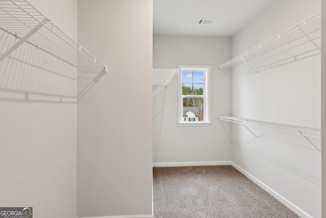 walk in closet with carpet flooring