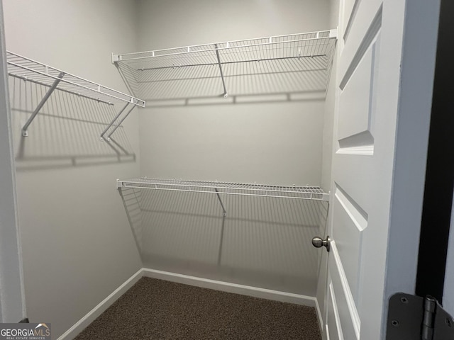 walk in closet featuring carpet floors