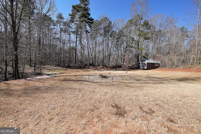 view of yard with a storage unit