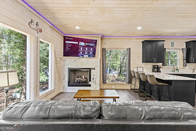 living room featuring a fireplace, dark hardwood / wood-style floors, wooden walls, and wood ceiling